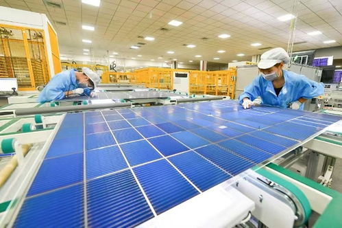 追光逐新 光伏獨角獸華晟新能源的成長故事